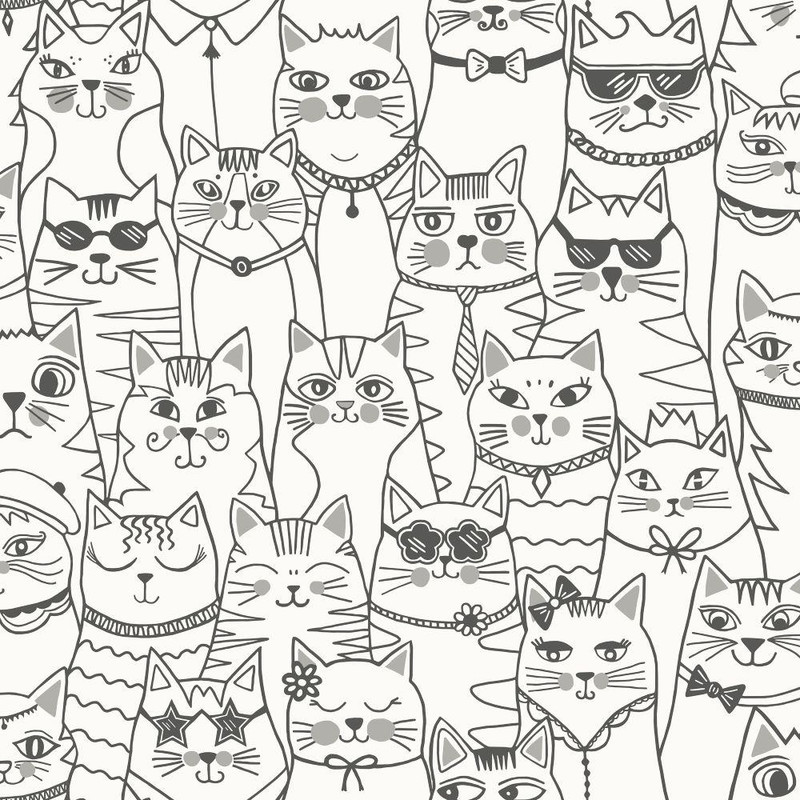 Holden Decor Cats Colour-Me Wallpaper - 14070 - Black / White