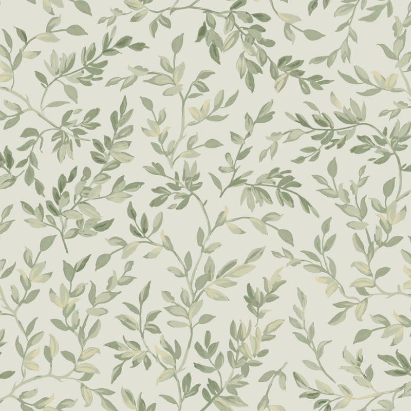 Graham & Brown Archivist’s Leaf Sage Wallpaper Roll
