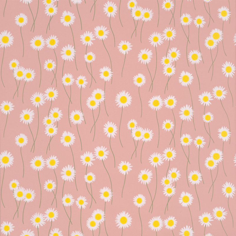 Swatch image of Little Greene Moon Daisies wallpaper in Hellebore, showing white daisies with yellow centres scattered over a soft pink background
