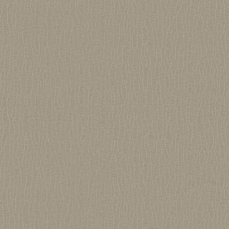Galerie - Abstract Lines Wallpaper - DC30043 - Beige