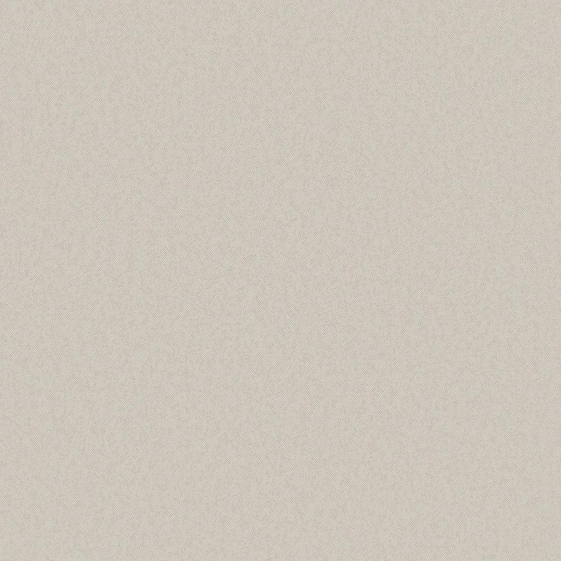 Even Texture Wallpaper - DC30134 - Beige