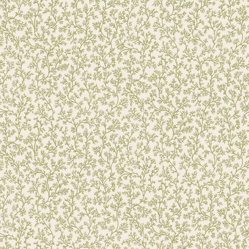 Holden Decor Coral Wallpaper 14300 Sage showing delicate trailing botanical pattern with fine stems and leaves in soft sage green
