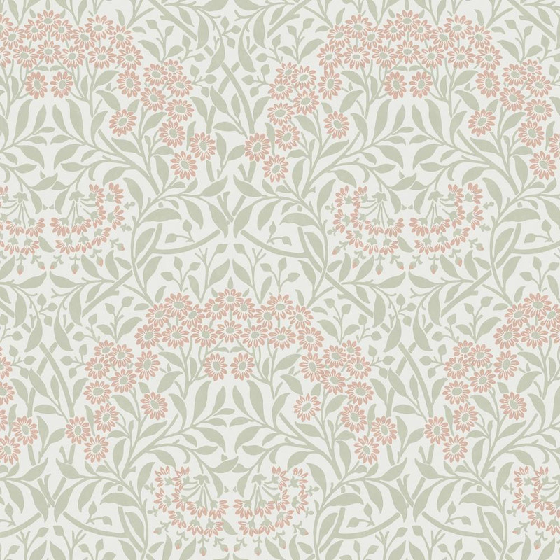 light floral wallpaper with michaelmas daisy pattern in peony pink and sage green tones