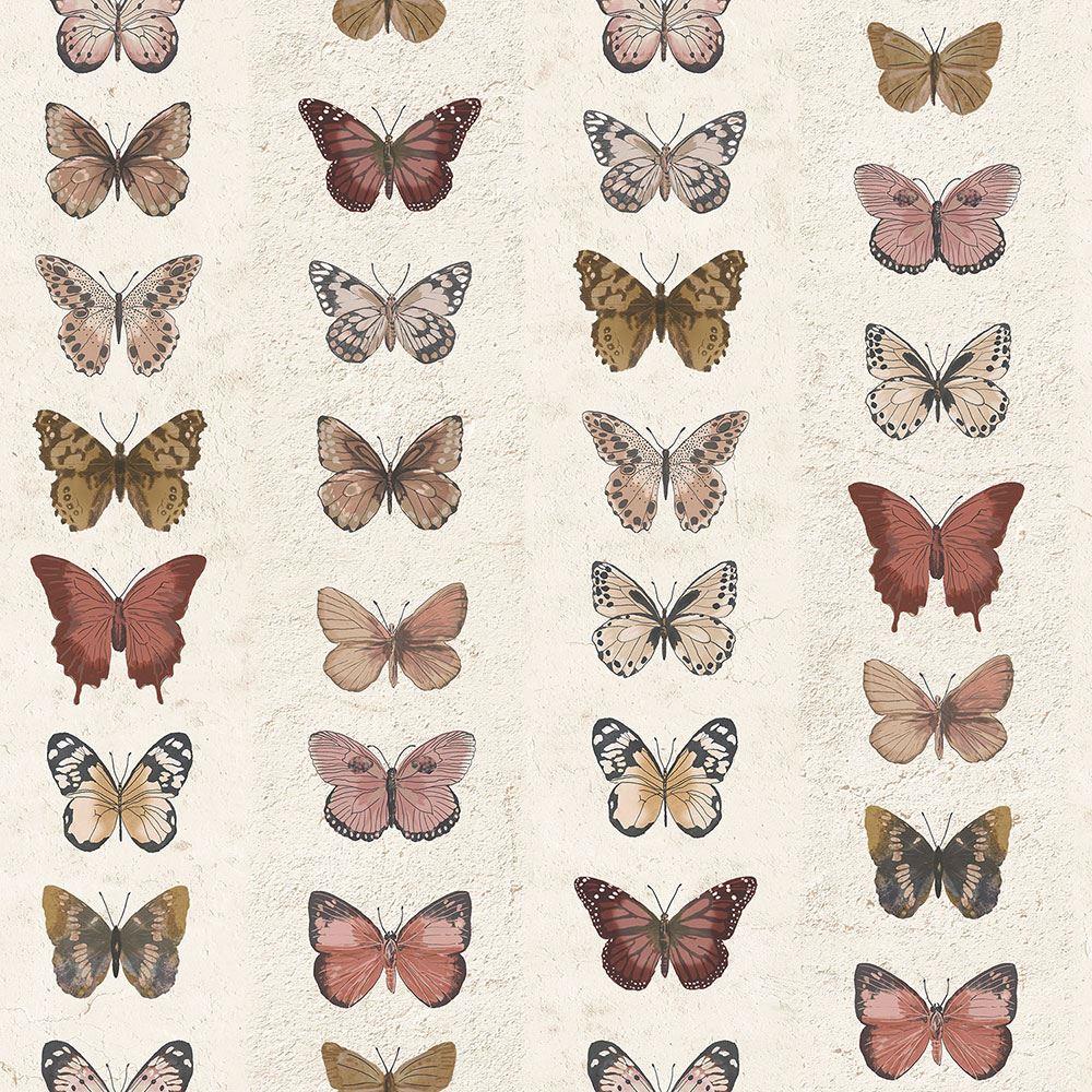 Download Beige Brown Aesthetic Blue Butterfly Wallpaper  Wallpaperscom