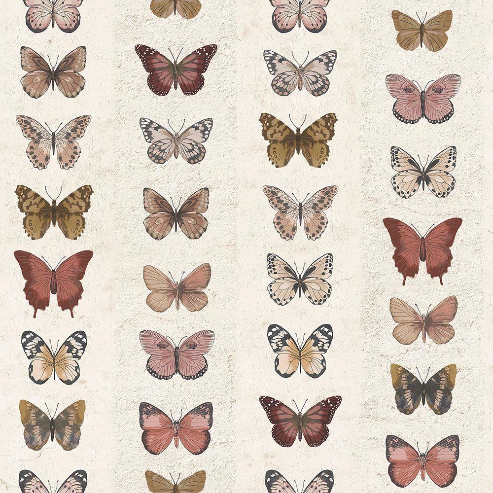 HD aesthetic butterfly wallpapers  Peakpx