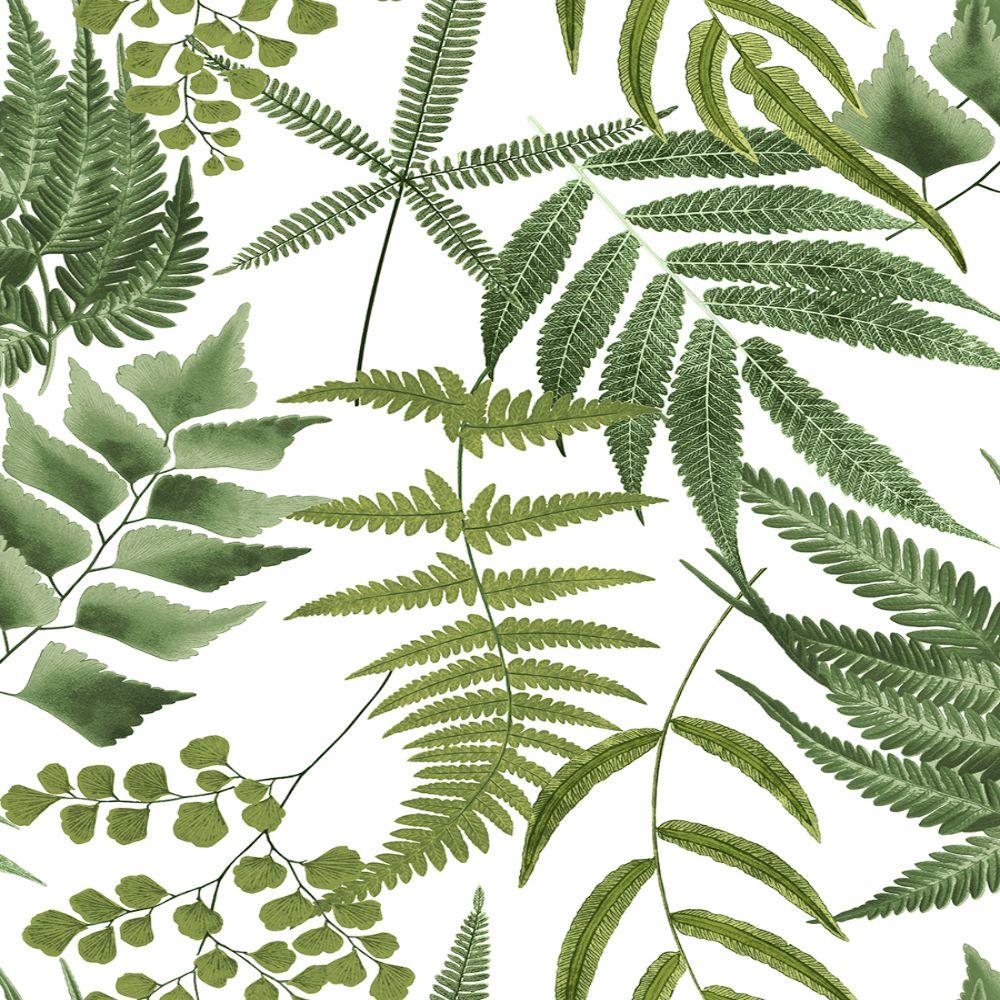 2811-LV04353 Cyathea Light Green Fern Wallpaper | The Fabric Co