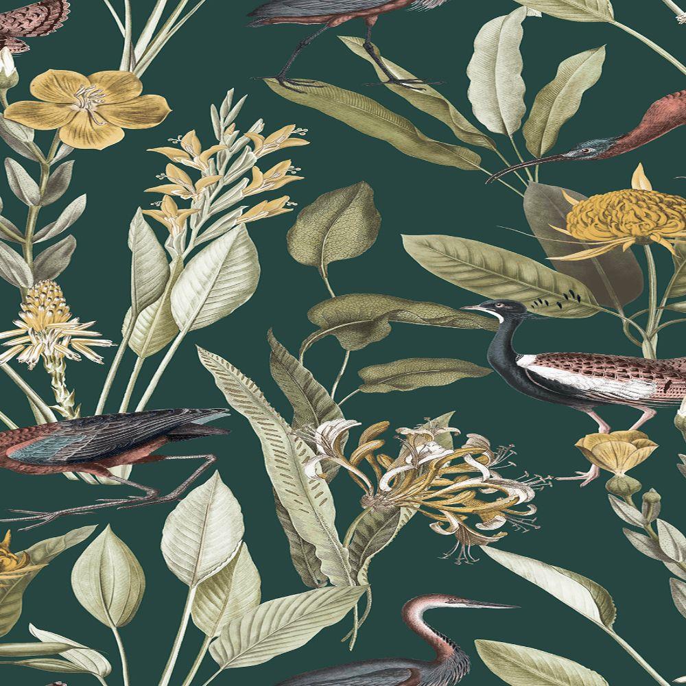 Glasshouse Wallpaper 111719 by Graham & Brown in Green buy online from the  rug seller uk