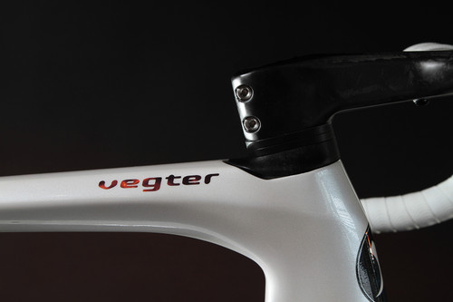 Montecci Vegter Disc Frame