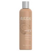 ABBA Pure Protection Color Protection Conditioner 8 Oz.