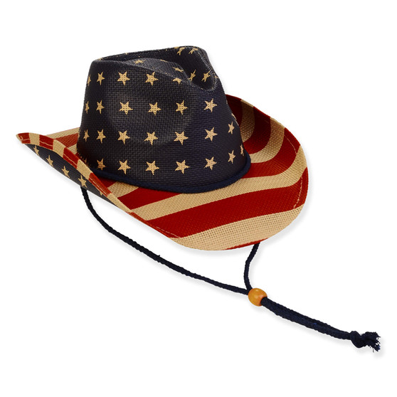 Kid's Hats | Young Boy | Multi, Paper Straw Western, Brim 3" | Sunny Dayz | HK518