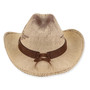back view of a natural straw-textured western hat featuring a pinched crown, upturned brim, braided leather band, and bronze hardware.