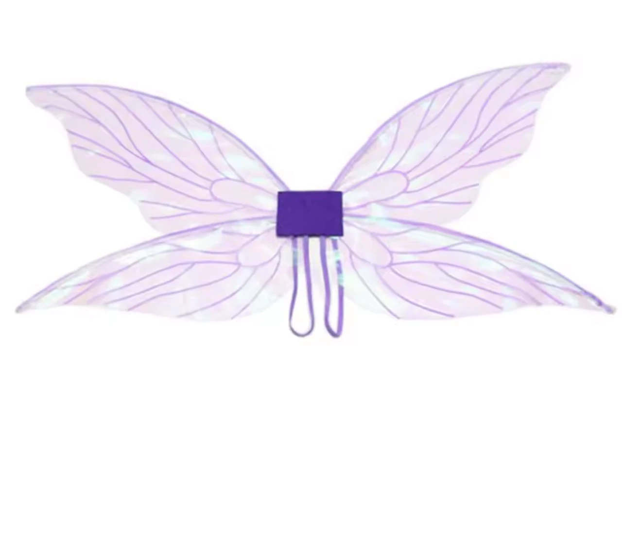 Costume Wings