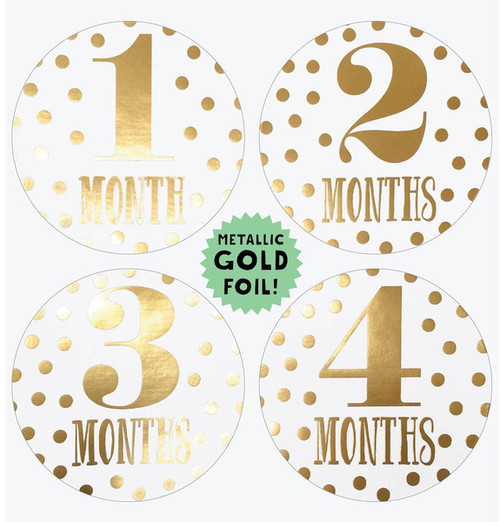 Little Diva Monthly Stickers