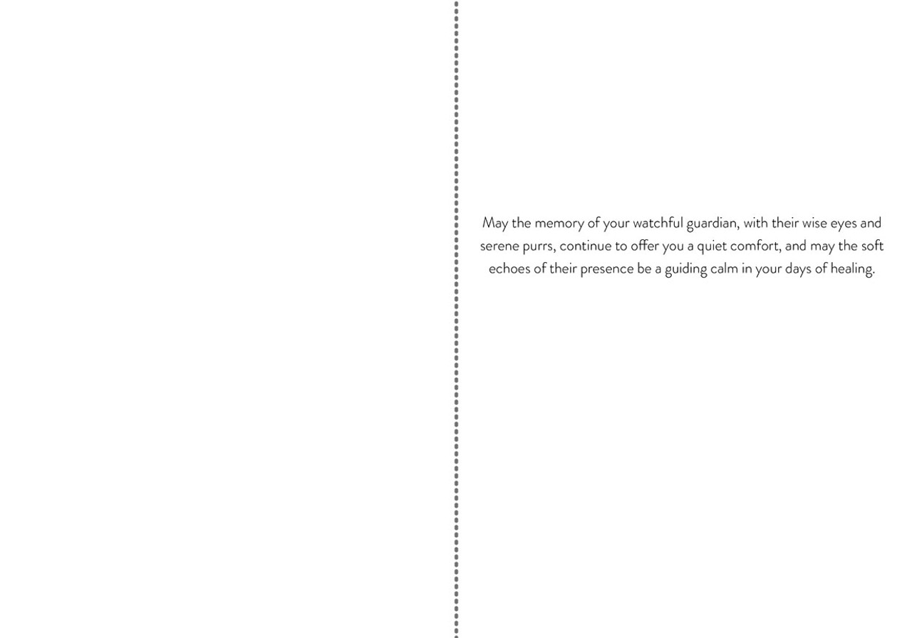 S244679 Silent Companion Cat Sympathy Card In Quiet Corners S244679 Silent Companion Cat Sympathy Card In Quiet Corners