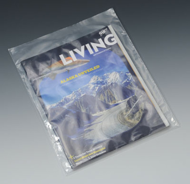 Postal Approved Mailing Bag - 2 Mil