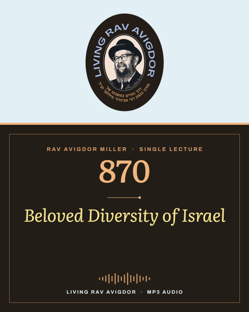 Rav Avigdor Miller MP3 lecture cover