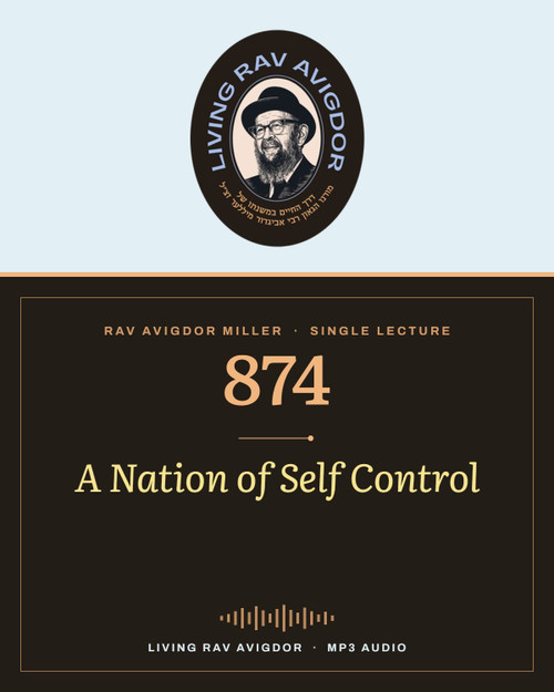 Rav Avigdor Miller MP3 lecture cover