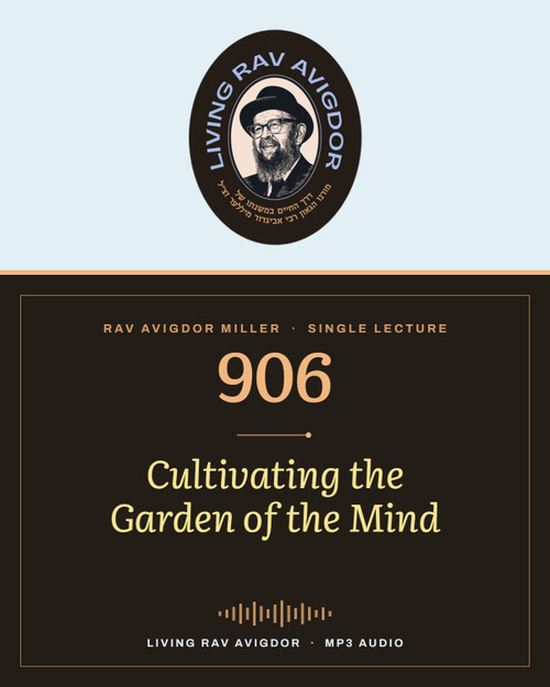 Rav Avigdor Miller MP3 lecture cover