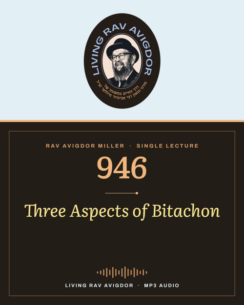 Rav Avigdor Miller MP3 lecture cover