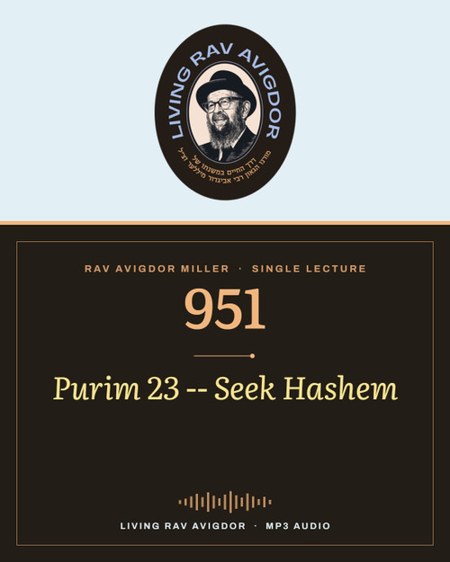 Rav Avigdor Miller MP3 lecture cover