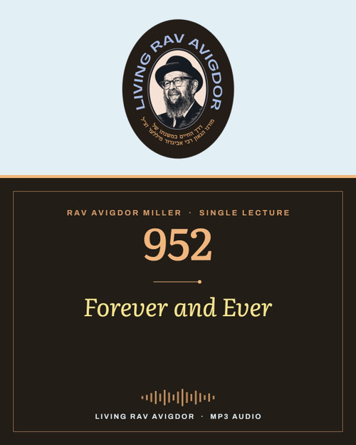 Rav Avigdor Miller MP3 lecture cover