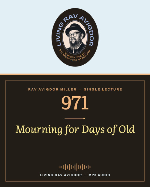 Rav Avigdor Miller MP3 lecture cover