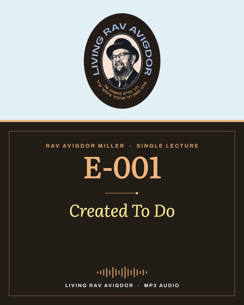 Rav Avigdor Miller MP3 lecture cover