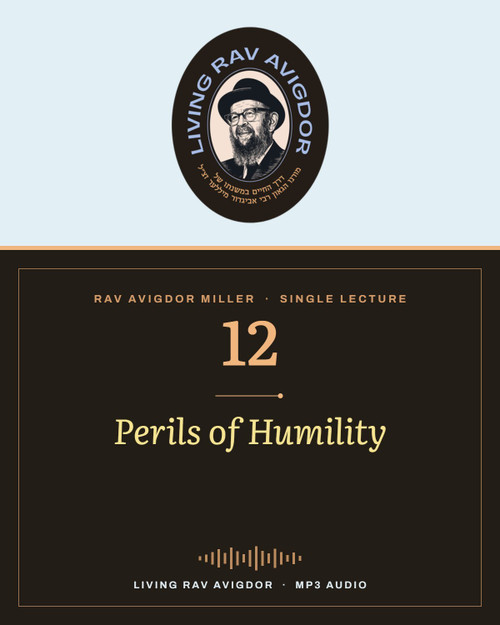 Rav Avigdor Miller MP3 lecture cover