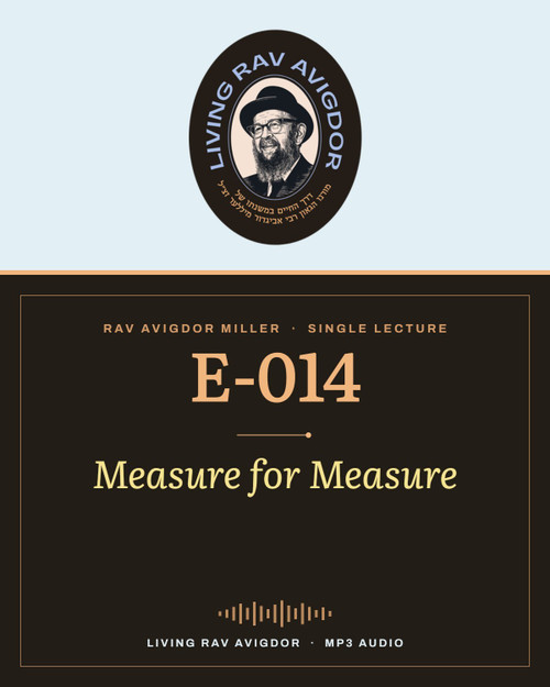 Rav Avigdor Miller MP3 lecture cover