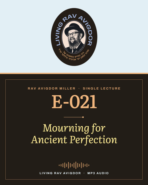 Rav Avigdor Miller MP3 lecture cover