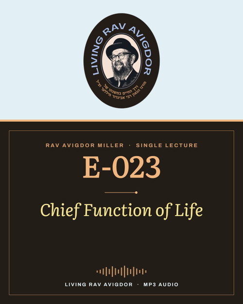 Rav Avigdor Miller MP3 lecture cover