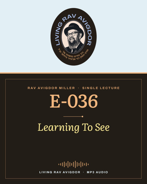 Rav Avigdor Miller MP3 lecture cover