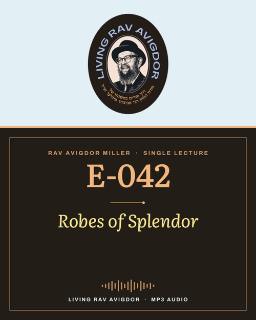 Rav Avigdor Miller MP3 lecture cover