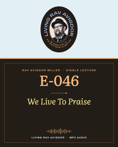 Rav Avigdor Miller MP3 lecture cover