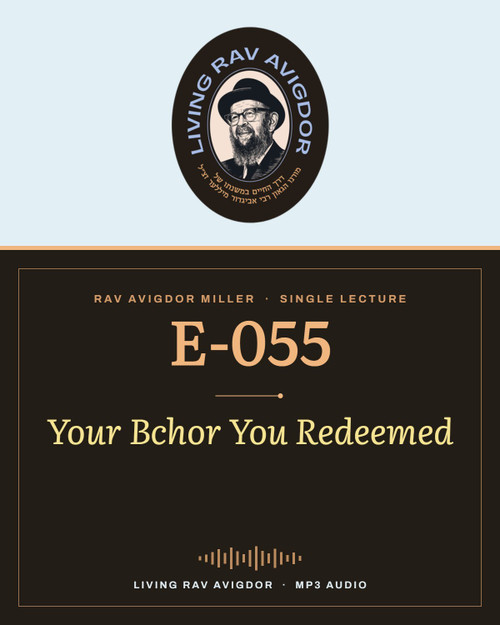 Rav Avigdor Miller MP3 lecture cover