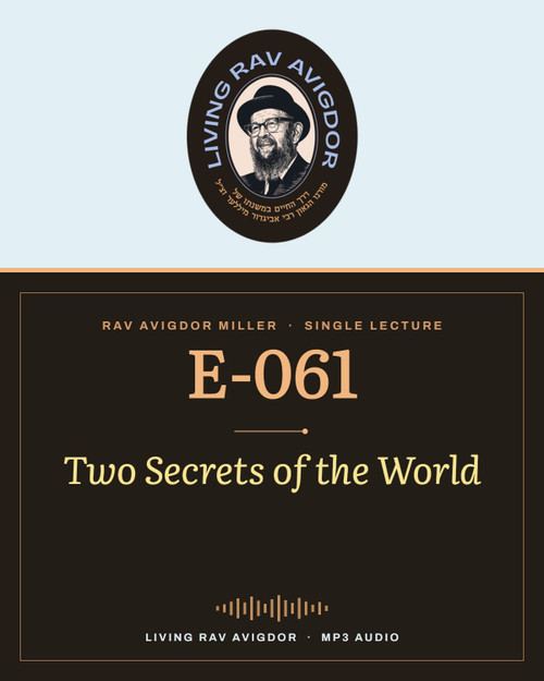 Rav Avigdor Miller MP3 lecture cover