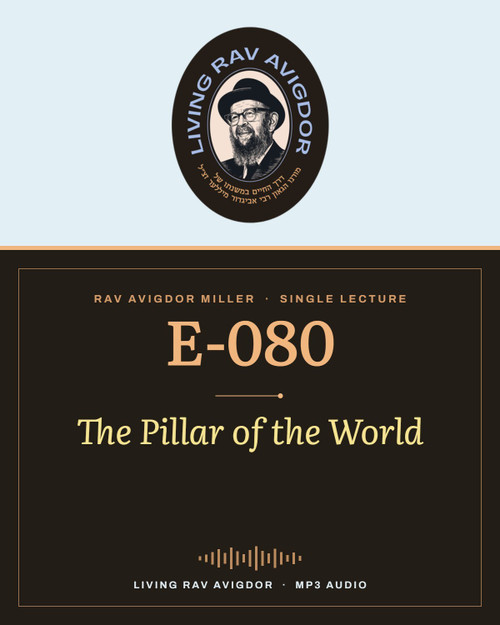 Rav Avigdor Miller MP3 lecture cover