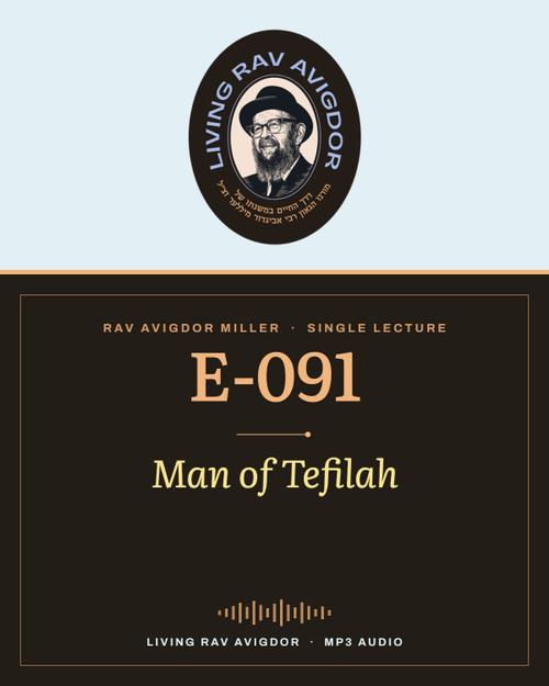 Rav Avigdor Miller MP3 lecture cover