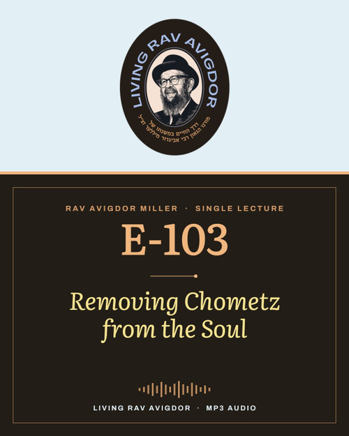 Rav Avigdor Miller MP3 lecture cover