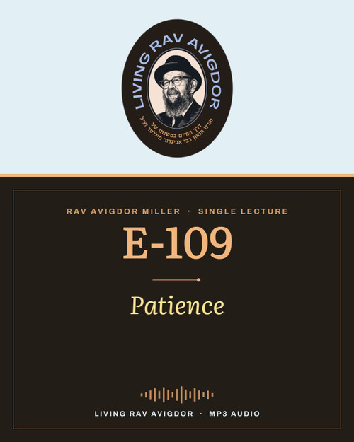 Rav Avigdor Miller MP3 lecture cover