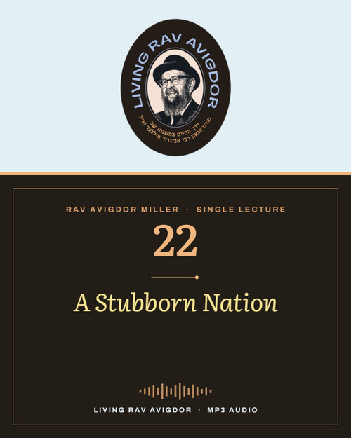Rav Avigdor Miller MP3 lecture cover