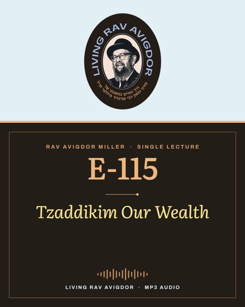Rav Avigdor Miller MP3 lecture cover