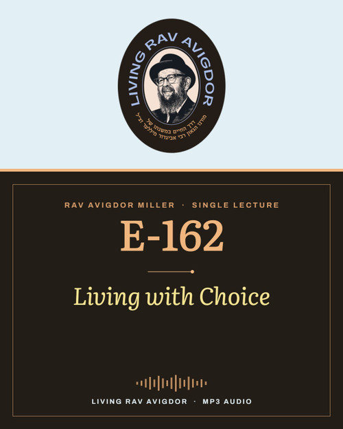 Rav Avigdor Miller MP3 lecture cover