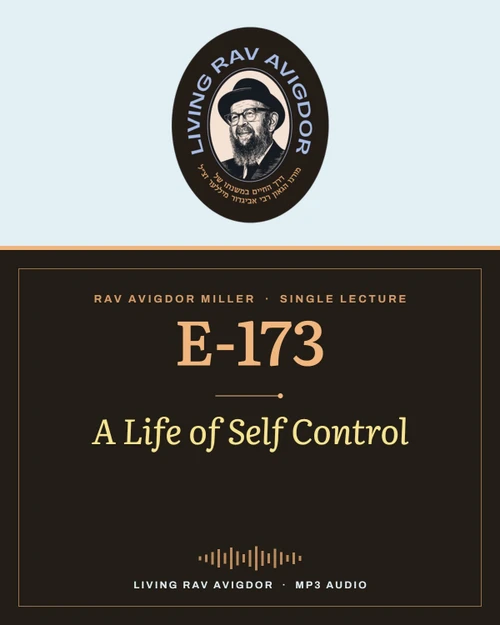 Rav Avigdor Miller MP3 lecture cover