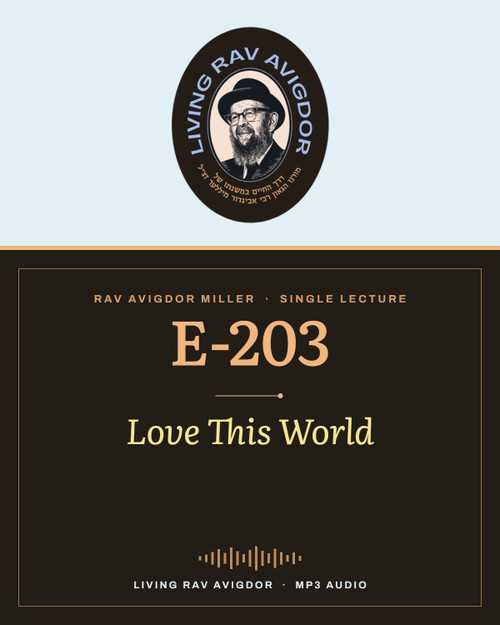 Rav Avigdor Miller MP3 lecture cover