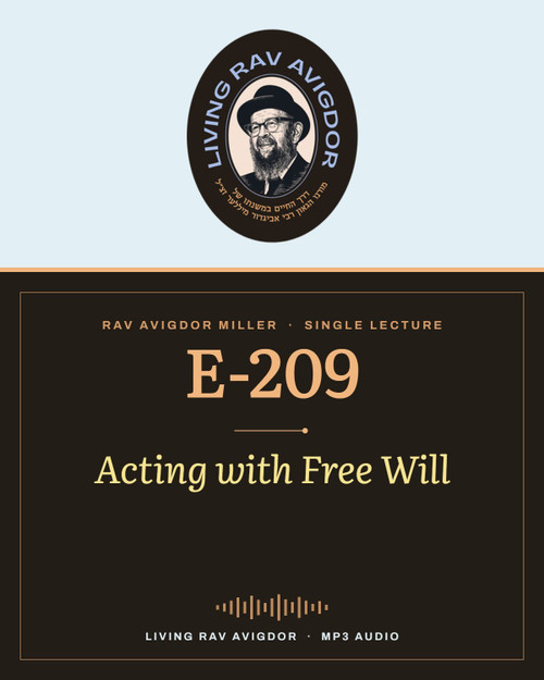 Rav Avigdor Miller MP3 lecture cover