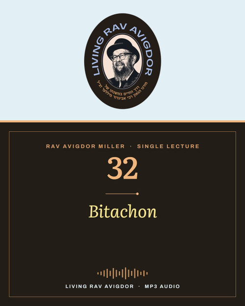 Rav Avigdor Miller MP3 lecture cover
