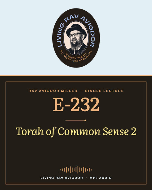 Rav Avigdor Miller MP3 lecture cover