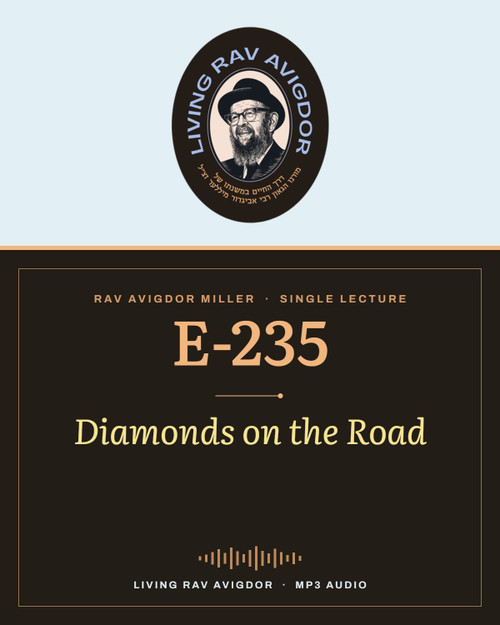 Rav Avigdor Miller MP3 lecture cover