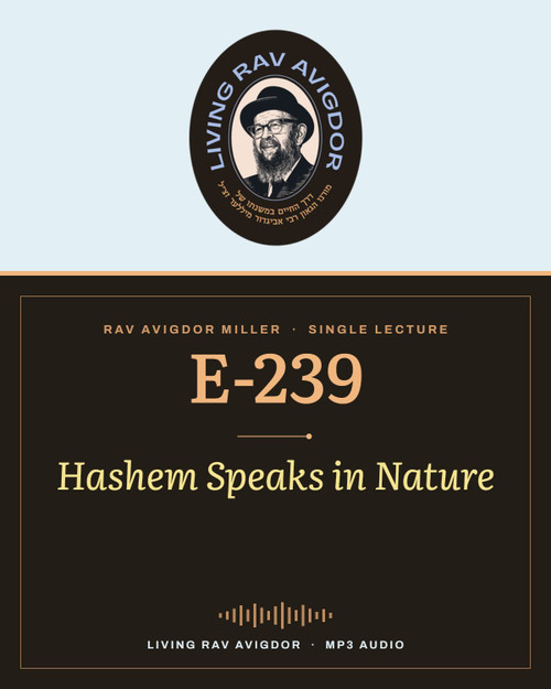 Rav Avigdor Miller MP3 lecture cover